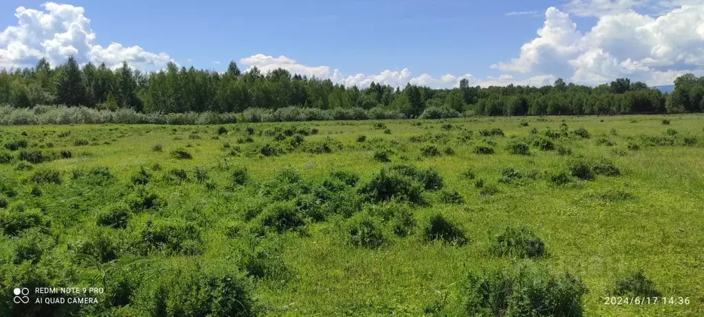 Участок в Алтай, Усть-Коксинский район, с. Горбуново  (20.0 сот.) - Фото 2