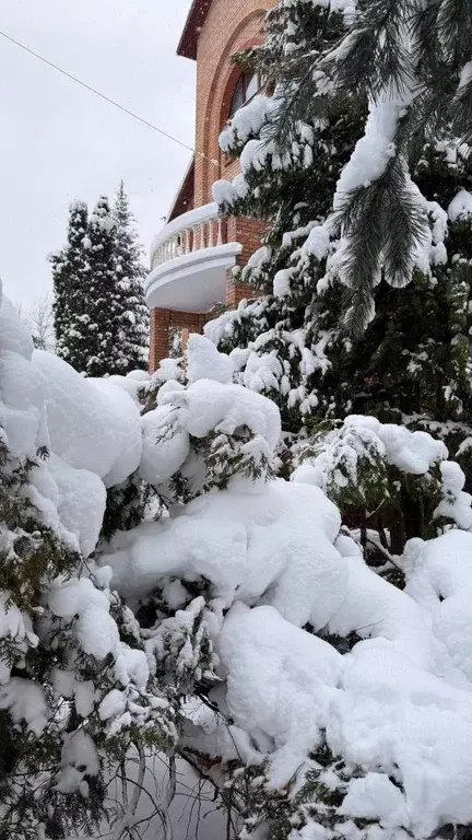 Дом в Московская область, Истра муниципальный округ, д. Веледниково ... - Фото 1