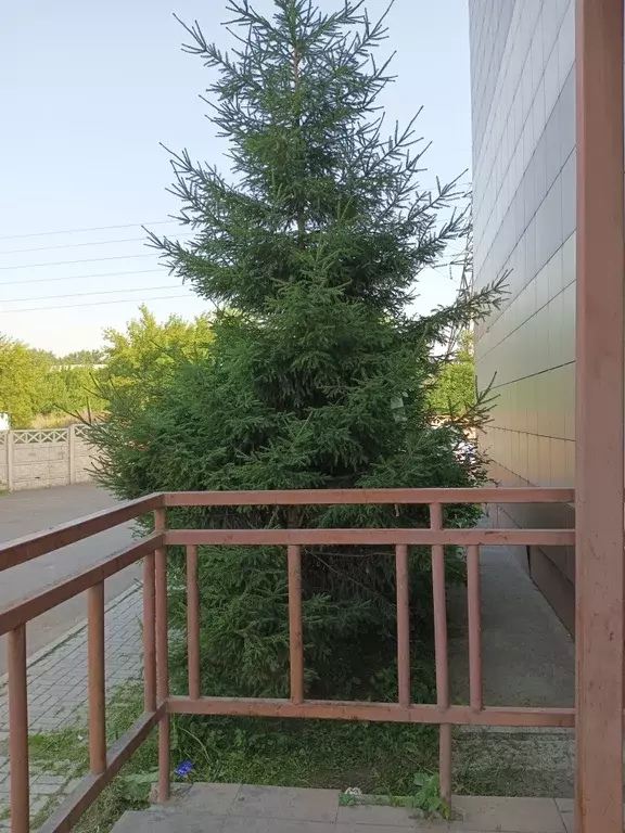 Продаётся квартира-студия, 22 м - Фото 1