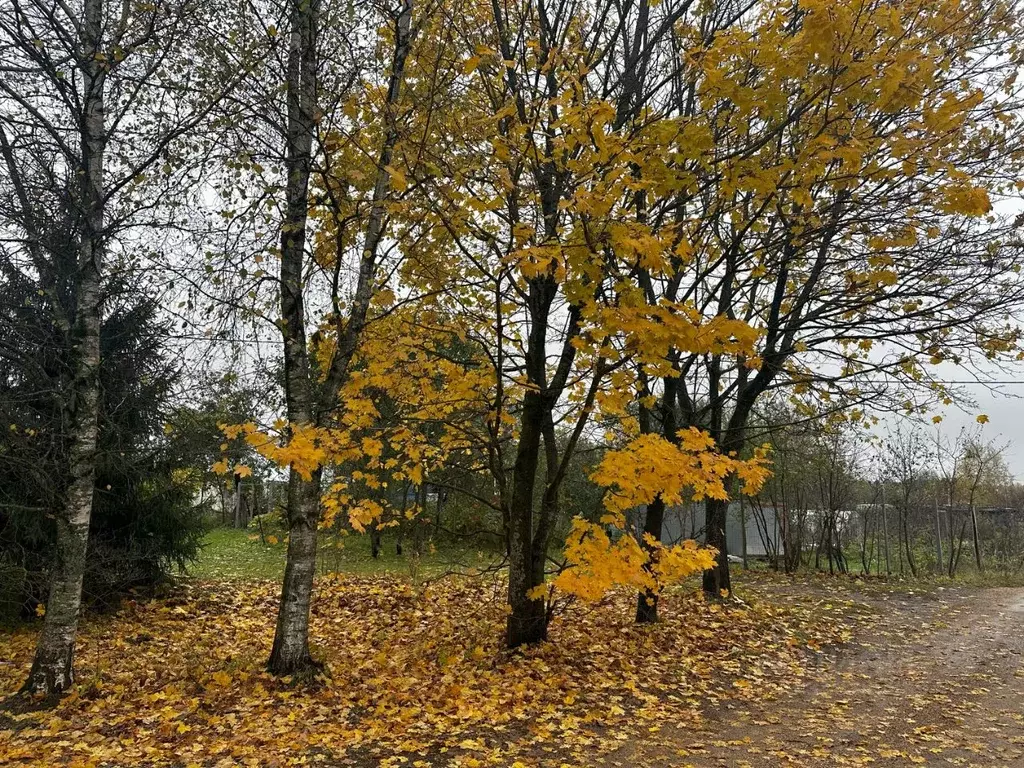 Участок в Московская область, Мытищи городской округ, с. Марфино  ... - Фото 0