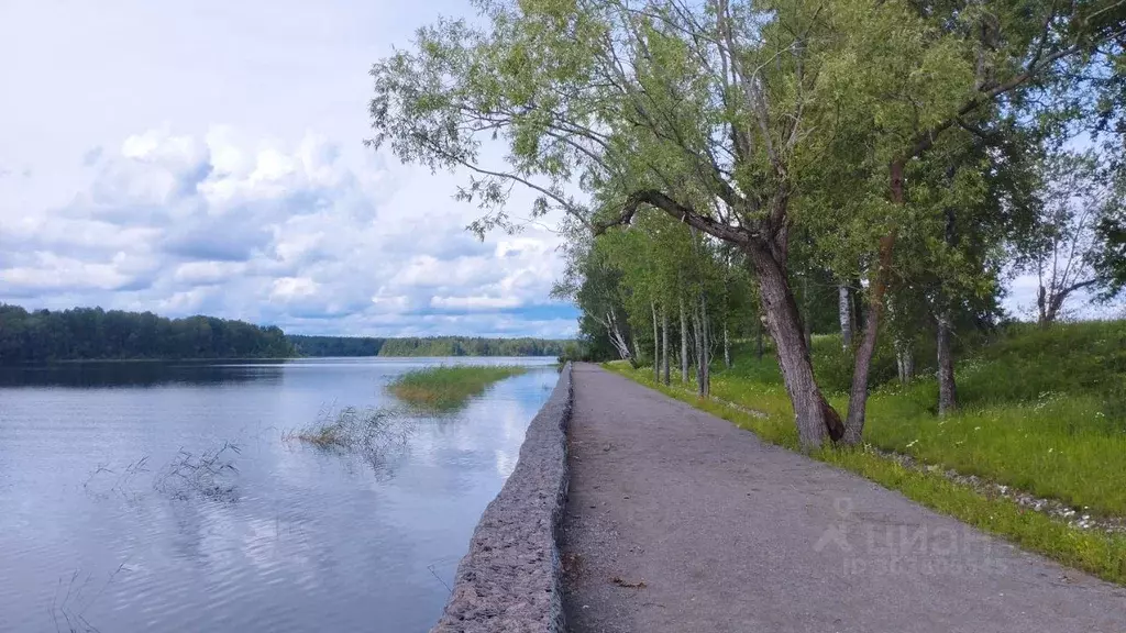 участок в ленинградская область, приозерский район, ромашкинское . - Фото 1