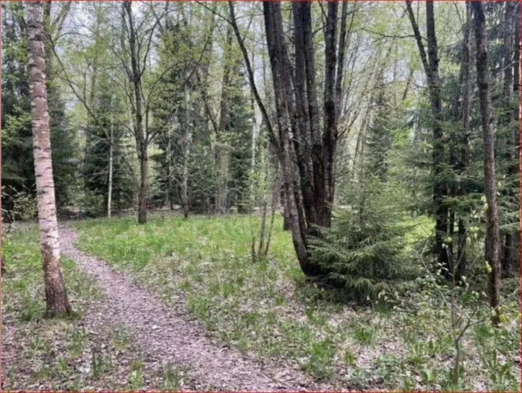 Участок в Московская область, Клин городской округ, д. Тиликтино  ... - Фото 2