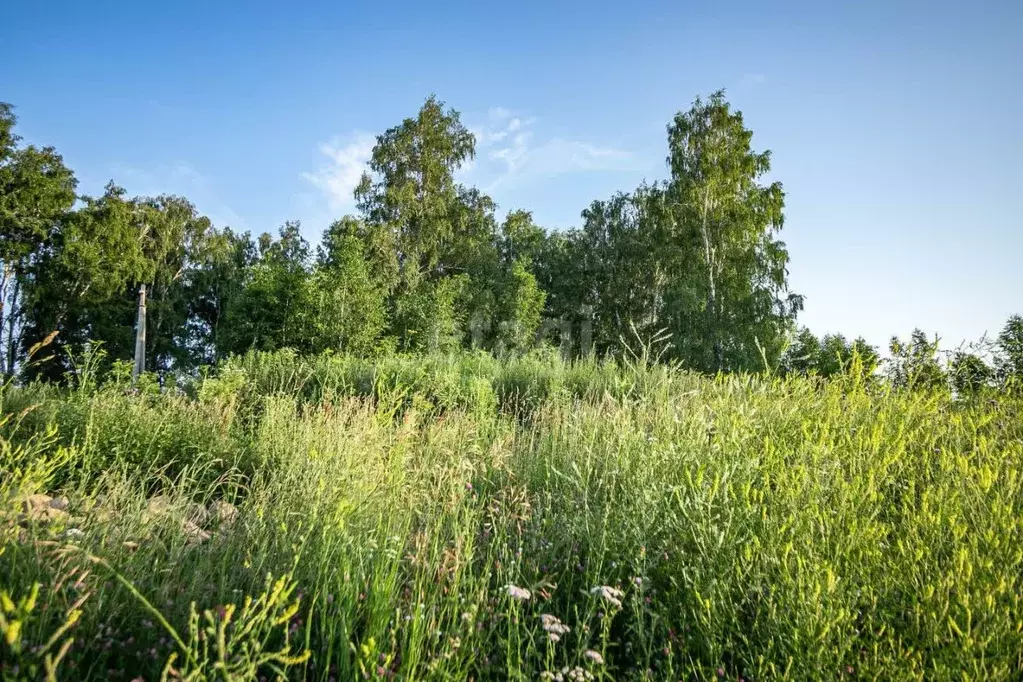 Участок в Новосибирская область, Бердск  (10.4 сот.) - Фото 0