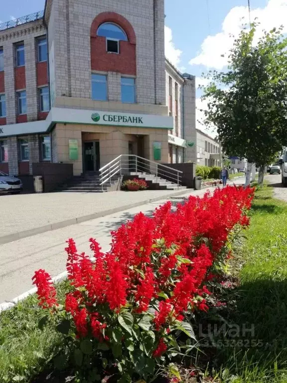 Офис в Удмуртия, Камбарка ул. Ленина, 60 (100 м) - Фото 0