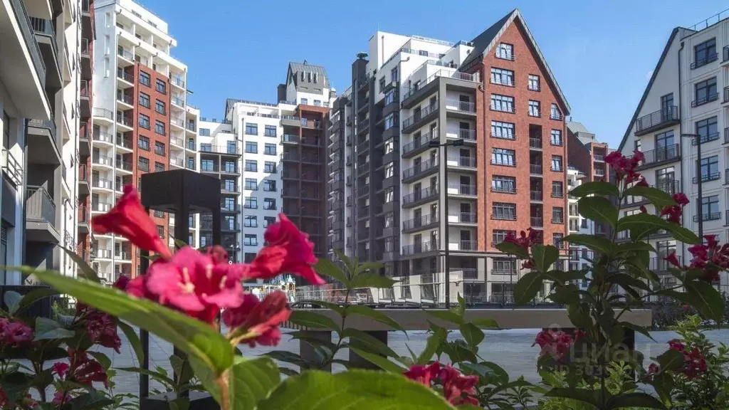 2-к кв. Калининградская область, Калининград ул. Молодой Гвардии, 34к3 ... - Фото 1