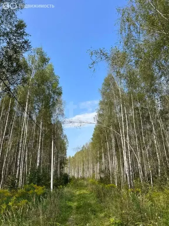 Участок в Заокский район, сельское поселение Страховское, коттеджный ... - Фото 1