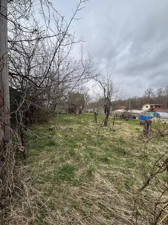 Участок в Калужская область, Боровский муниципальный округ, Березка-2 ... - Фото 2