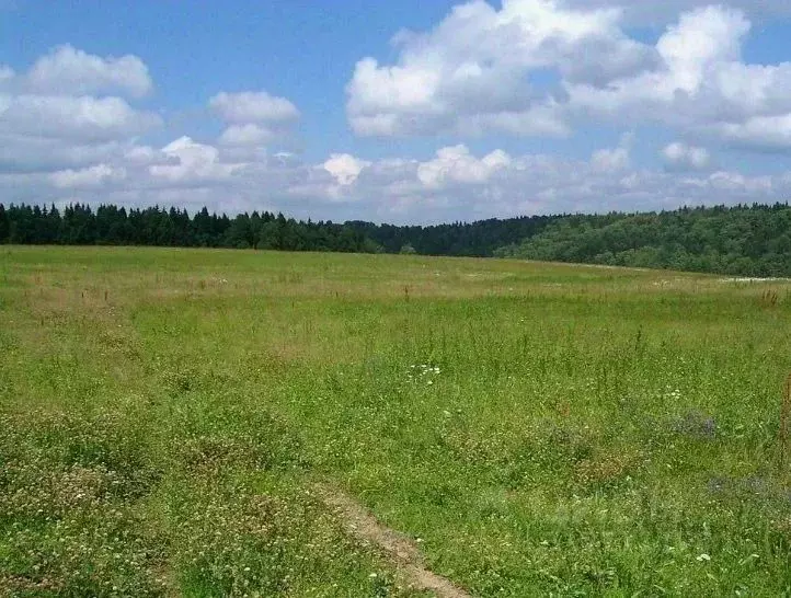 Участок в Тульская область, Тула городской округ, д. Дементеево проезд ... - Фото 0