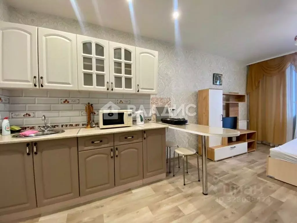 Студия Владимирская область, Владимир ул. Фейгина, 22 (29.0 м) - Фото 2