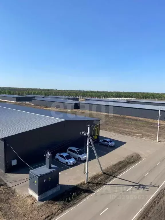 Склад в Воронежская область, Новоусманский район, с. Бабяково ул. ... - Фото 1