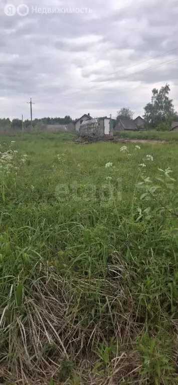 Участок в Калининградская область, Гурьевский муниципальный округ, СНТ ... - Фото 1