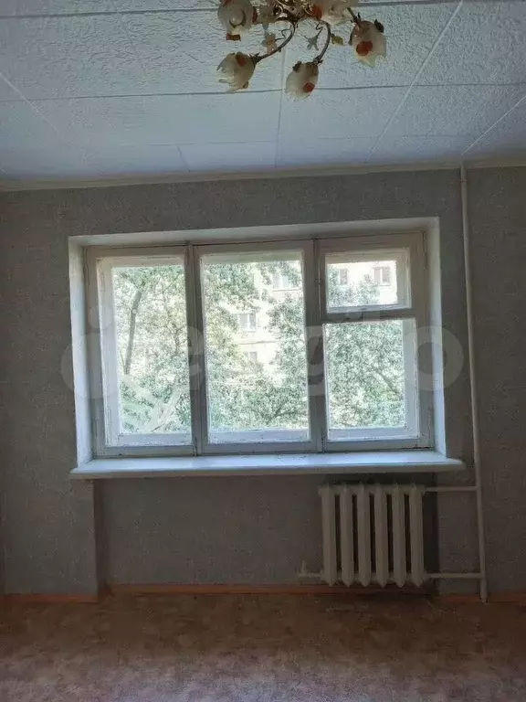 1-к. квартира, 16,9 м, 3/5 эт. - Фото 1