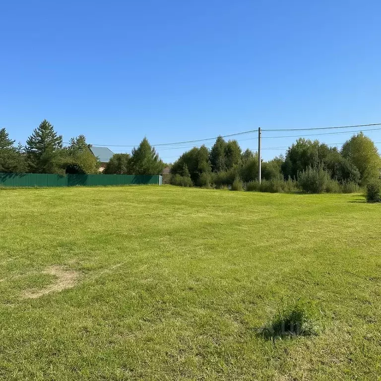 Участок в Калужская область, Тарусский муниципальный округ, Алекино ... - Фото 2