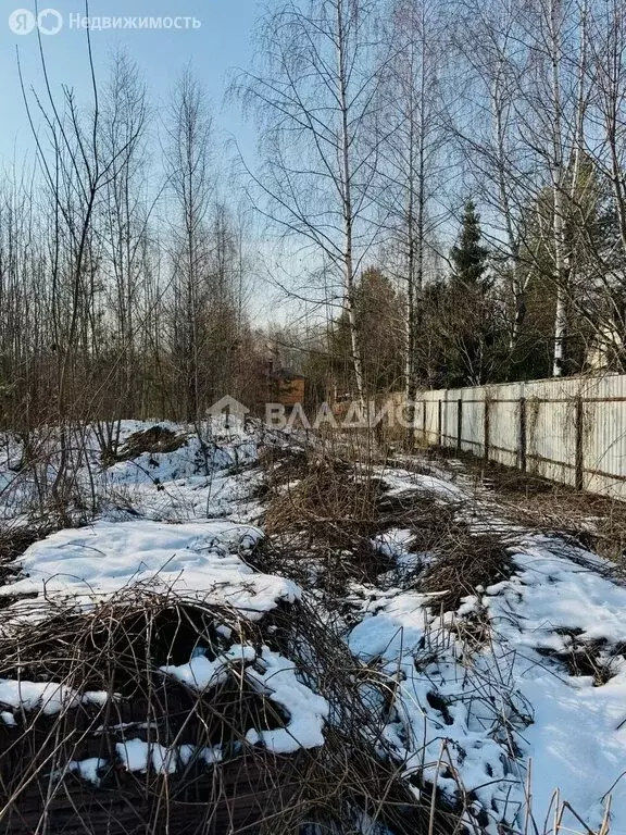 Участок в деревня Чиверёво, ТСЖ Природа, 102 (40 м) - Фото 1