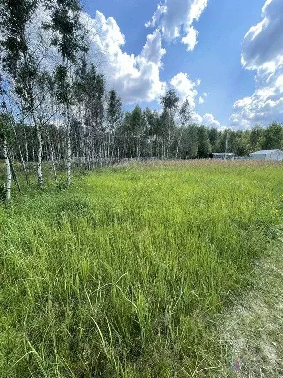 Участок в Московская область, Ступино городской округ, с. Воскресенки  ... - Фото 0