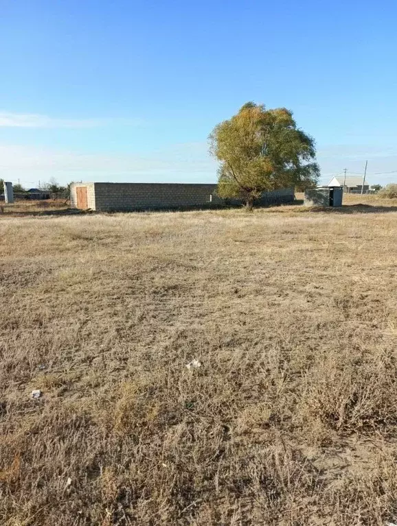 Участок в Волгоградская область, Иловлинское городское поселение, ... - Фото 1