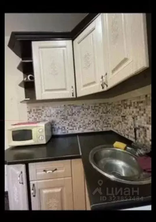 Студия Московская область, Солнечногорск городской округ, Андреевка ... - Фото 1