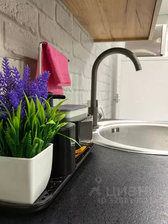 Дом в Курганская область, с. Кетово ул. Школьная, 3 (60 м) - Фото 1