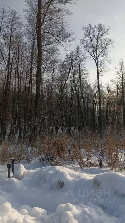 Коттедж в Пензенская область, Пенза Дубрава кп,  (200 м) - Фото 2