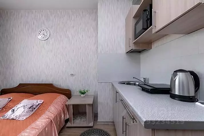 1-к кв. Новосибирская область, Новосибирск ул. Титова, 257 (24.0 м) - Фото 0