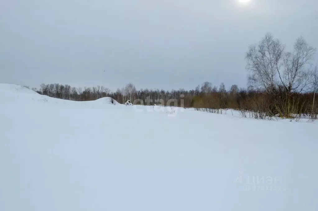 Участок в Кемеровская область, Прокопьевский район, с. Верх-Егос  ... - Фото 0