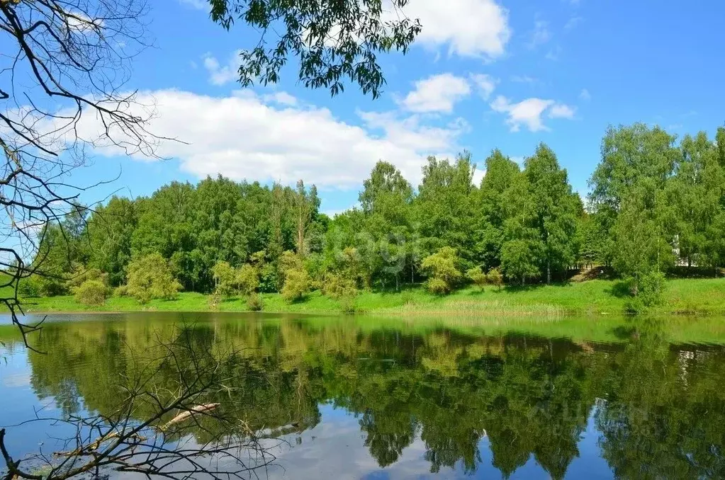 Участок в Смоленская область, Смоленский муниципальный округ, д. ... - Фото 0