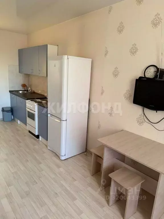 Студия Новосибирская область, Новосибирск ул. Кирова, 242 (30.0 м) - Фото 1