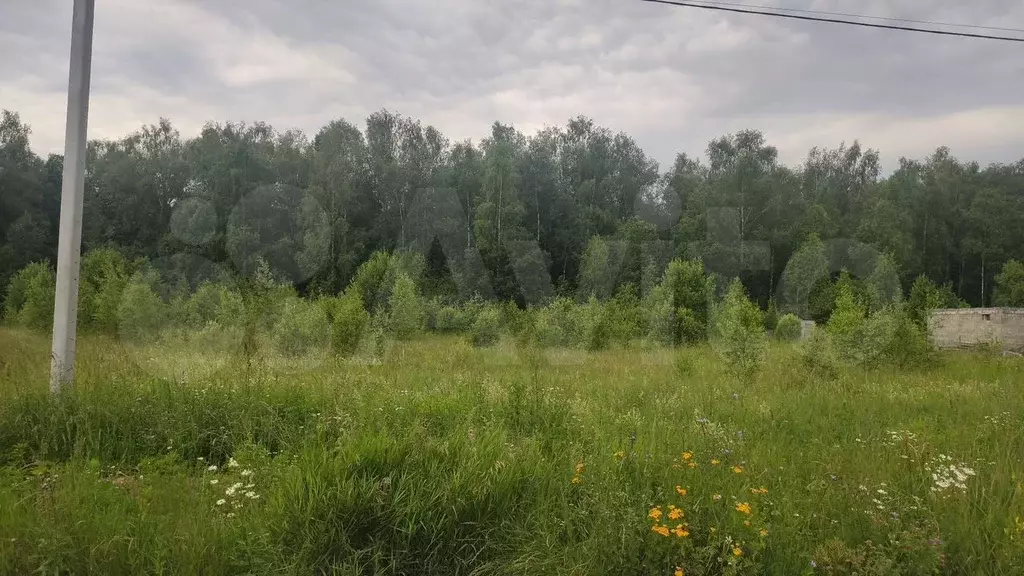 Участок 15 сот. (ИЖС) - Фото 1