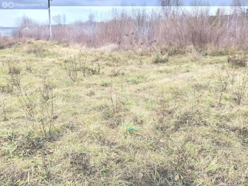 Участок в Чердаклинский район, Мирновское сельское поселение, СНТ ... - Фото 2