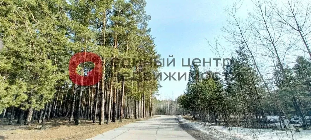 Участок в Тюменская область, Тюменский район, Винзили рп  (56.41 сот.) - Фото 0