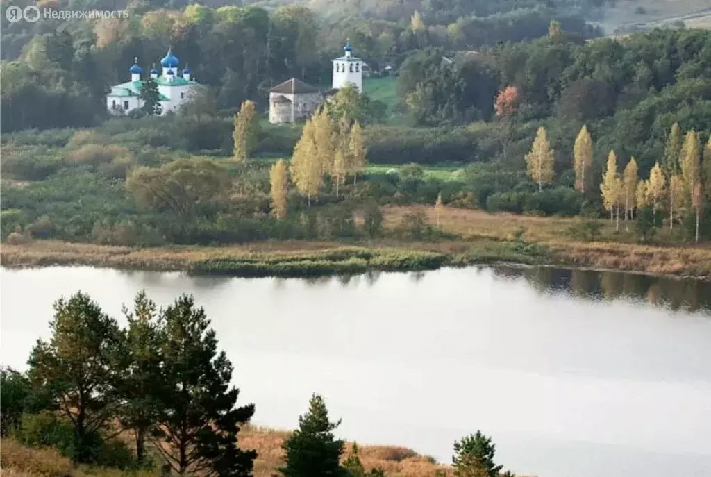 Участок в Псковская область, Печорский муниципальный округ, деревня ... - Фото 1
