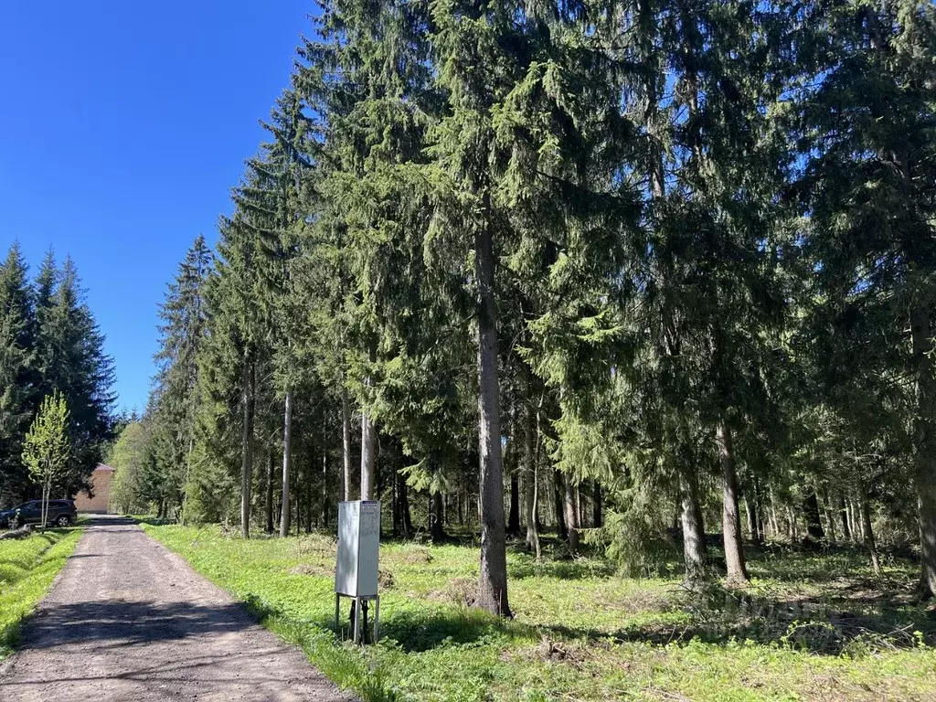 Участок в Московская область, Дмитровский муниципальный округ, д. ... - Фото 0