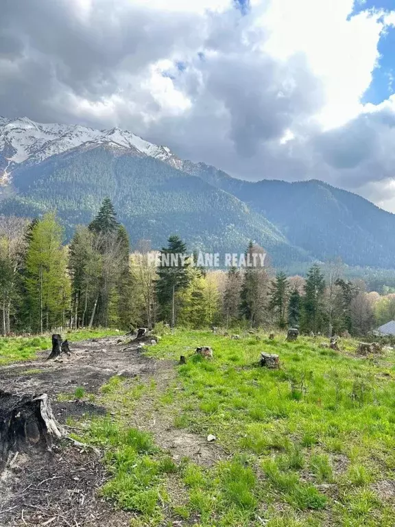 Участок в Карачаево-Черкесия, Зеленчукский район, с. Архыз  (375.0 ... - Фото 1