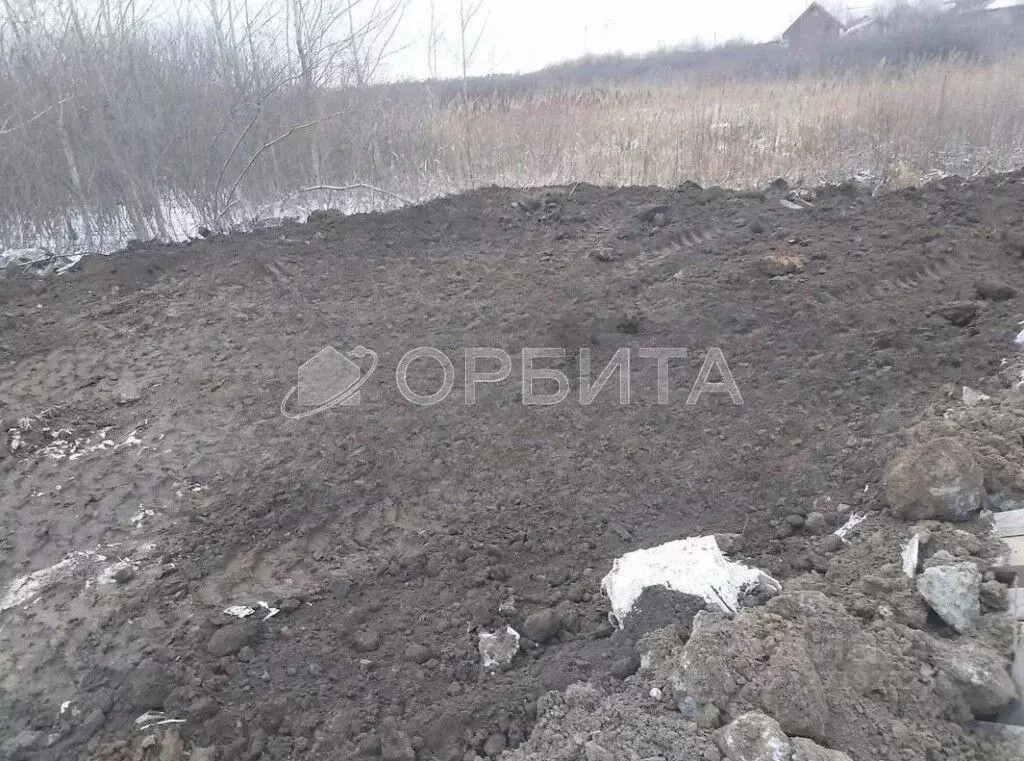 Участок в Тюменская область, Тюмень Малинка садовое товарищество, ул. ... - Фото 1