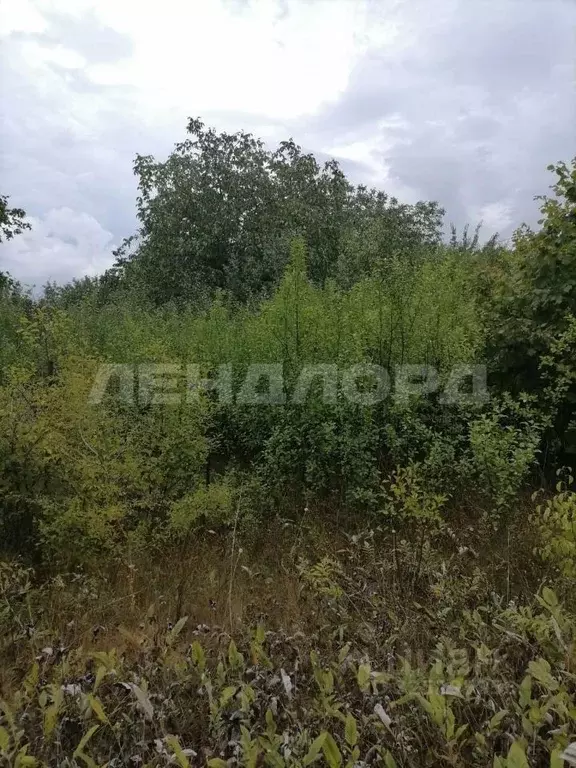 Участок в Ростовская область, Аксайский район, Истоминское с/пос, ... - Фото 2