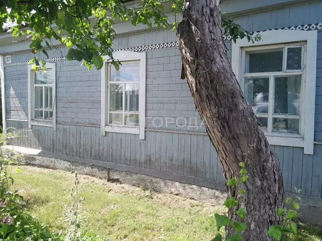 Дом в Алтайский край, Первомайский район, с. Боровиха ул. 2-я Боровая ... - Фото 1