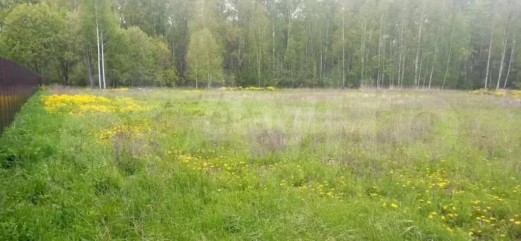 Участок 20 сот. (личное подсобное хозяйство (лпх)) - Фото 1