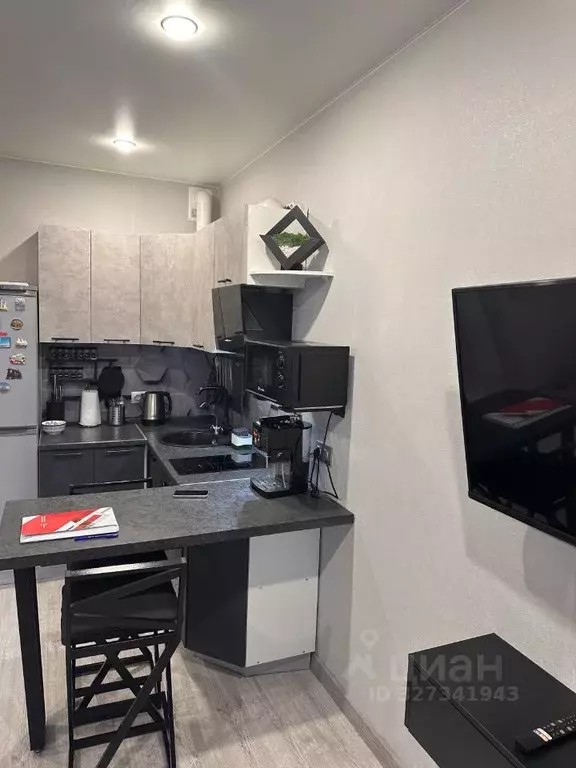 Студия Ленинградская область, Ломоносовский район, Виллозское ... - Фото 1