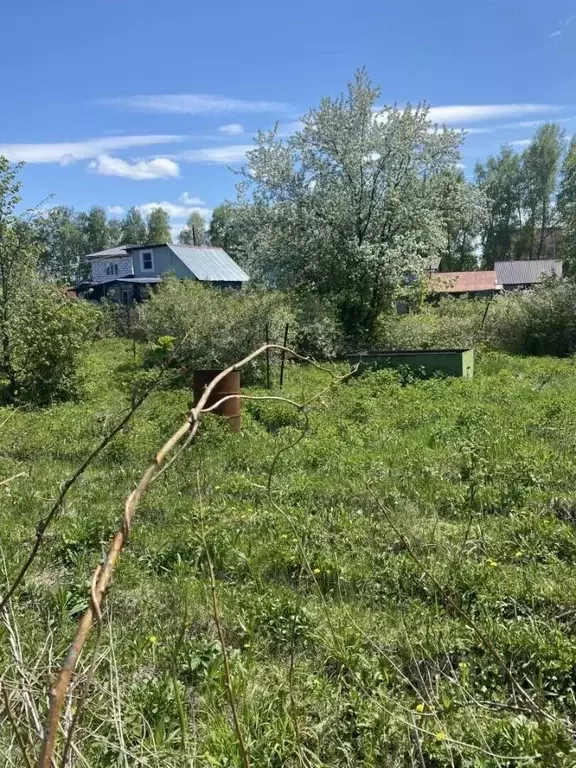 Участок в Алтайский край, Барнаул городской округ, пос. Плодопитомник, ... - Фото 2