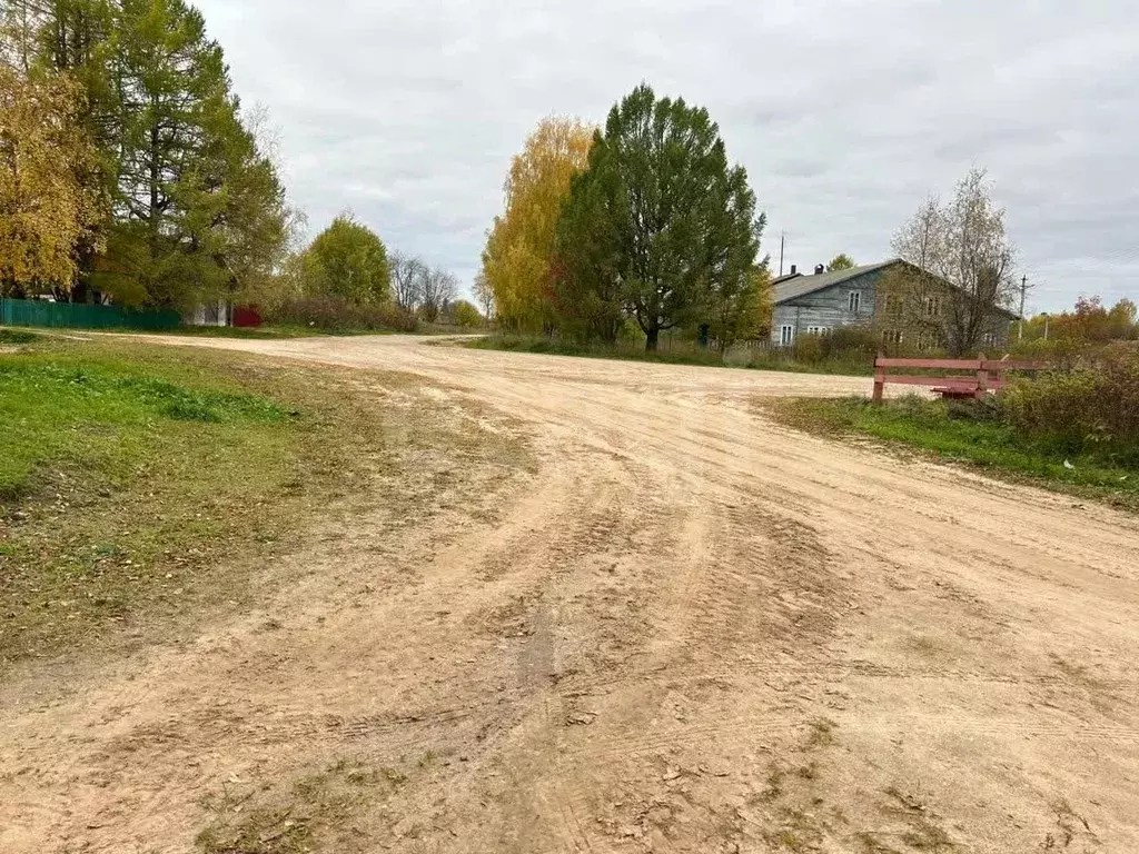 Участок в Вологодская область, Тарногский муниципальный округ, д. ... - Фото 2