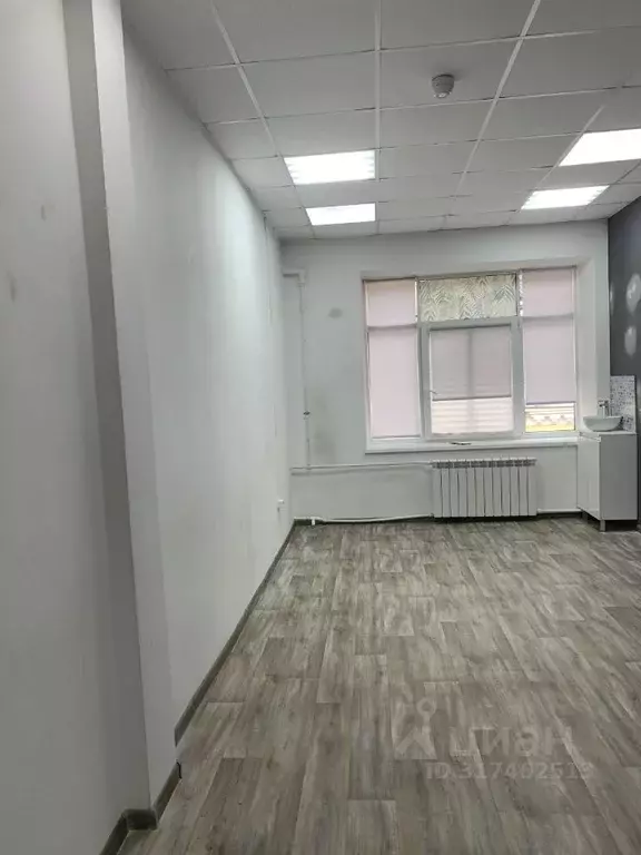 Офис в Санкт-Петербург Малая Морская ул., 11 (20 м) - Фото 0