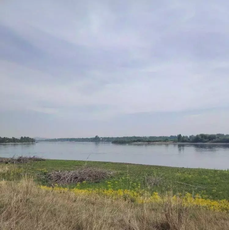 Участок в Иркутская область, Иркутск  (20.0 сот.) - Фото 1