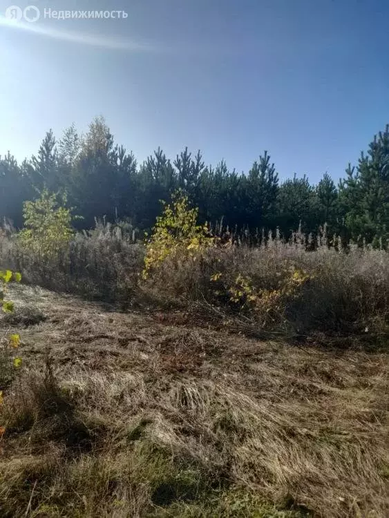 Участок в Иркутский район, село Максимовщина (10 м) - Фото 0