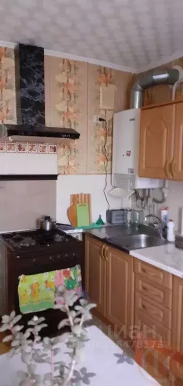 1-к кв. Крым, Сакский район, с. Ромашкино ул. Интернациональная, 51Б ... - Фото 2