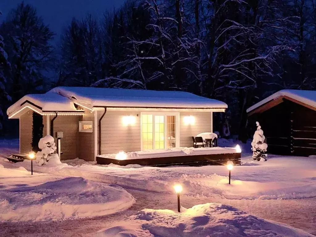 1-к кв. Псковская область, Пушкиногорский район, Пушкиногорье ... - Фото 1