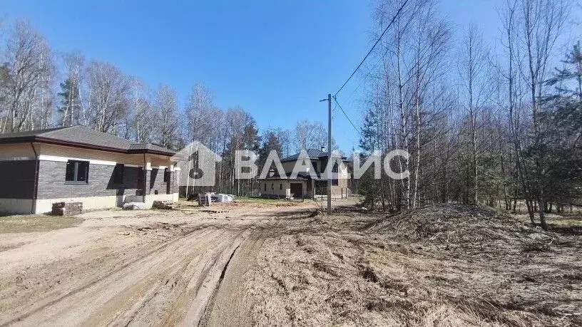 Участок в Владимирская область, Владимир д. Никулино, ул. Извилистая ... - Фото 2