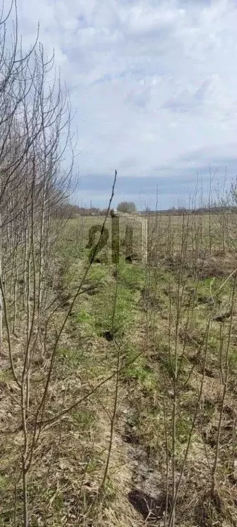 Участок в Свердловская область, Белоярский городской округ, д. Гусева  ... - Фото 1