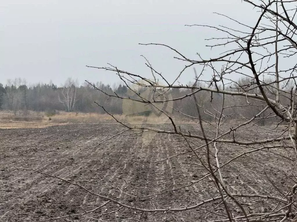 Участок в Белгородская область, Старооскольский городской округ, с. ... - Фото 1