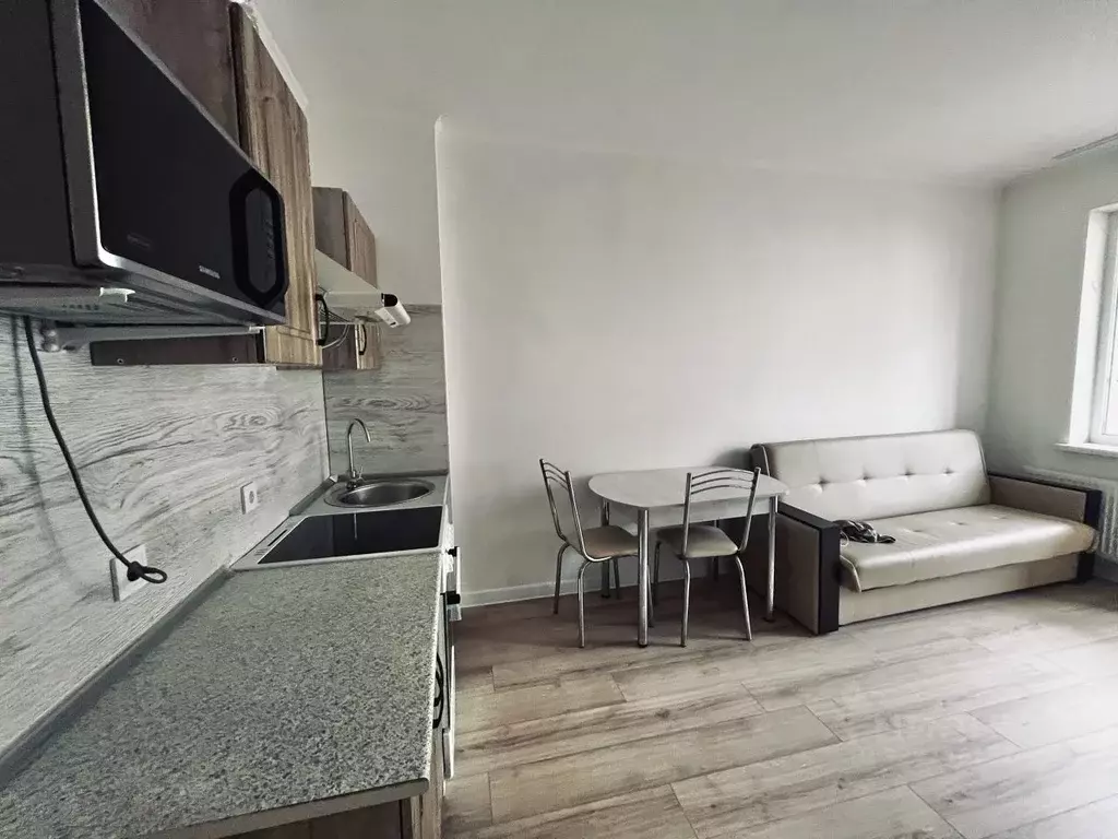 Студия Санкт-Петербург просп. Ветеранов, 169к2 (24.0 м) - Фото 1