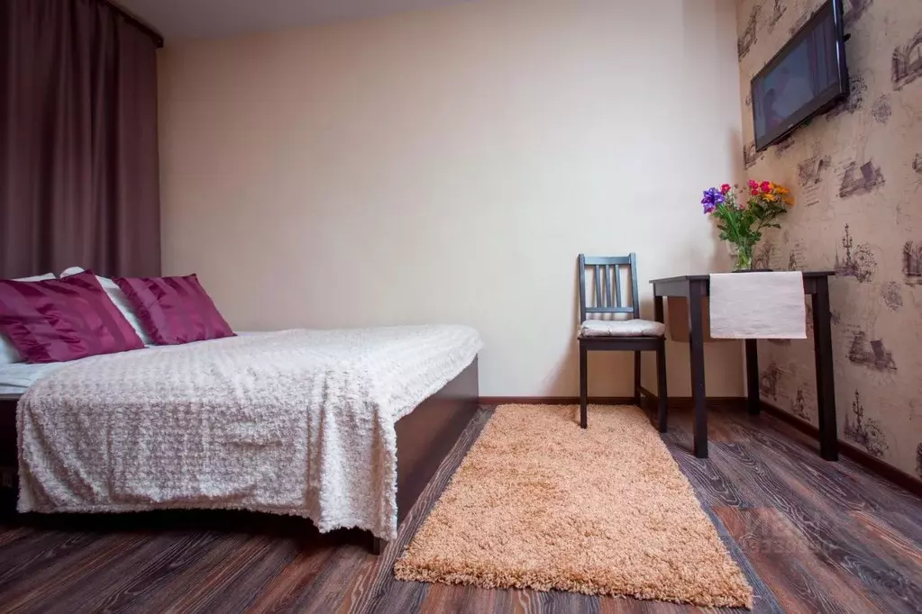 1-к кв. Санкт-Петербург Гороховая ул., 31 (23.0 м) - Фото 2